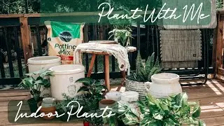 Plant with Me | Easy Indoor Plants for Beginners pt. 2