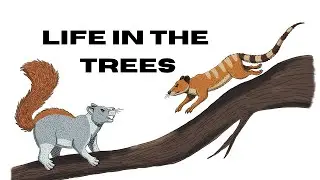 LIFE IN THE TREES ON A PLANET OF WEASELS - Project Mustelon Ep. 2 (Speculative Evolution Seed World)