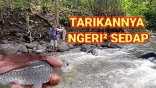 MICRO FISHING || Kali Ini Memakai Umpan Andalan Tempe Ulek || Berbagai Jenis Ikan Pasti Makan