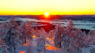 [4K] Snow Covered Trees | Winter Forest | Relaxing Drone Footage | Meditation Music | Ambient Sound