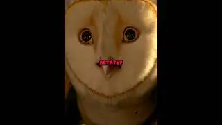 Я научу вас летать..#shorts #film
