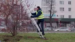 Брусника. Качество продает