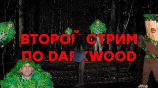 ВТОРОЙ-ВТОРОЙ ПО DARKWOOD