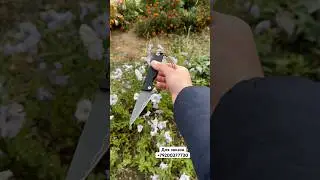 Кухонный полевой складной нож 💣      #bushcraft #кухонныйнож #складнойнож