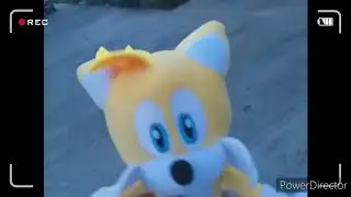 Sonic plush:sonic team hunting siren head