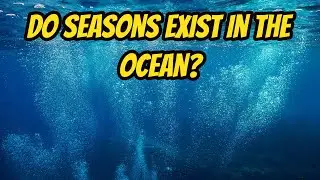 Do Seasons Exist In The Ocean?