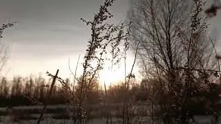 Мороз и вечность до следующего лета. CapCut редактор