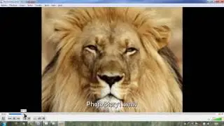 The Best Photo Slide Show Software For Windows 2017