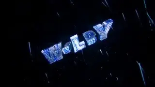 Intro for WILDY| LIKE This STYLE?