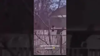 🇺🇦👍Цигани опше безстрашнi😱🇺🇦