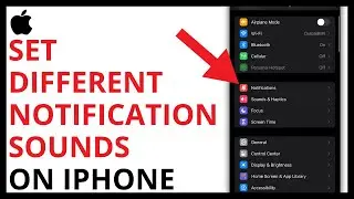 How to Set Different Notification Sounds for Each App on iPhone [QUICK GUIDE]