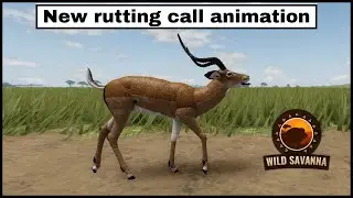 Roblox Wild Savanna - Updated Impala rutting call animation - New vs Old