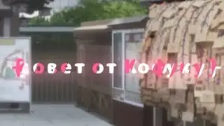 –[совет от Кофуку]–
