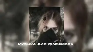 🐾Музыка для флешмоба 🐾