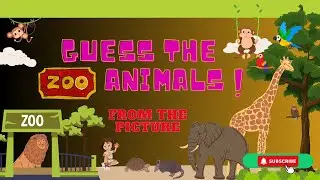Guess 30 Zoo Animals in Just 3 Seconds! | Ultimate Animal Challenge