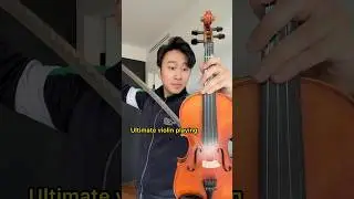 $1 VS $10,000 Violin Bow… 