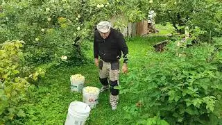 лучшая сока выжималка, море сока!