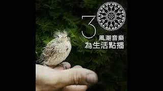 【吃喝玩樂】大自然的免費音樂饗宴