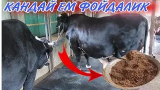 МОЛ КУЙ УЧУН МАХСУС ЕМ ТАЙОРЛАШ