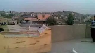 kotr