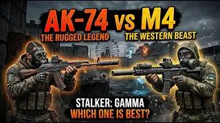 Stalker AK vs M4