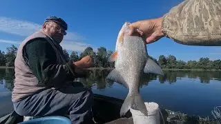 Fishing on Kame. We catch Gusteru, Bream, Senza
