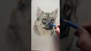 Tips for if you struggle to see colours in your drawings 👩‍🎨 #bonnysnowdonacademy #drawingtips #art