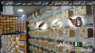 My Birds Setup For 2022 | Banglaese Japanese Society Finches