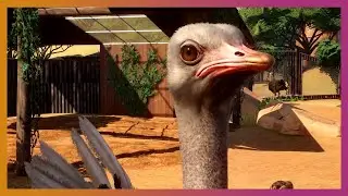 🦁 3 NEW Animals! Ostrich, Warthog, Dart Frog! | Planet Zoo Update