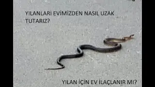 Yılan için ev ilaçlanır mı? Yılanları evimizden uzak tutmak için neler yapmalıyız?