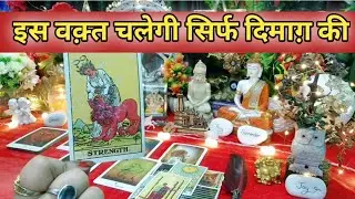 🌿🧿सिर्फ दिमाग़ की सुनेंगे अब वो😱Current Feelings Next Action With Angel Guidance❣️Timeless Tarot 🌈