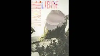 LIBRE - Отражение