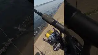 Лещ на реке #рыбалка #fishing