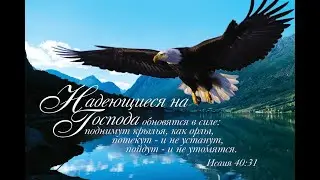 19.05.2024