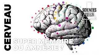 Cerveaux : Super Mémoire ou Amnésie ?