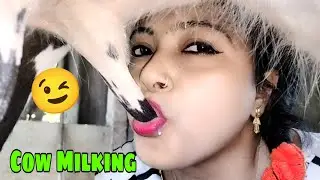 Women Cow Milking || Drinking Cow Milk || Cow Milking By Hand | Jaya Ghosh
