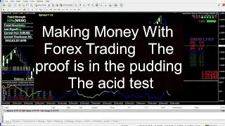 Making Money With Forex Trading   The proof is in the pudding  The acid test