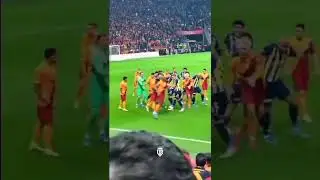 🦁 Huzurlarınızda yeni Aslanlar ve kırmızı halıda yıldızlar geçidi! ✨💛❤️ 