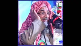 জীবনের শেষ মাহফিল। নিঃশ্বাসের বিশ্বাস নেই। ইমাম জাফর আলম | Imam Zafor Alam Bangla New Waz। নতুন ওয়াজ