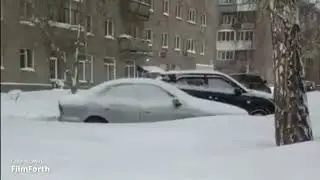 Много снега навалило !