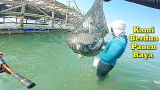 2 Karung Penuh Ikan, kami Berdua Benar-benar Beruntung