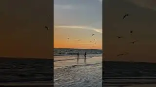 Красота 😍 #жизнь #время #счастье #youtube #nature #video #life #sunset #shorts