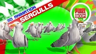 Green Screen Group of Seagulls - Footage PixelBoomCG