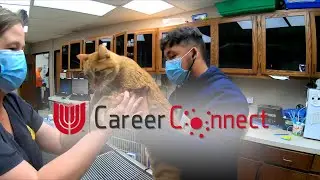 Join the Career Connect Program at Union High School
