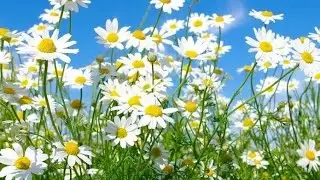 ВОССТАНОВИ ЗДОРОВЬЕ🙏💧💦 И ПОЛУЧИ ЗАЩИТУ💪🔥 ПРЯМО СЕЙЧАС!МОЩНАЯ МЕДИТАЦИЯ!😇