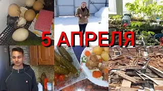 ЖИЗНЬ В ДЕРЕВНИ /ОГОРОД НА ПОДОКОННИКЕ/ НАШ ДЕНЬ/ДЕРЕВЕНСКИЙ УЖИН