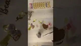 Montando topo de bolo bailarina
