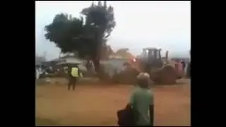 Most Mysterious  tree In Nigeria