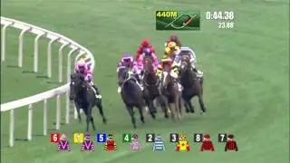 LUCKY BUBBLES won the Sprint Cup 2016