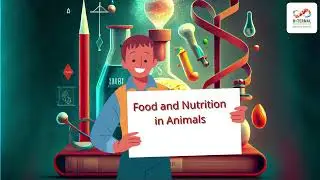 FOOD AND NUTRITION IN ANIMALS